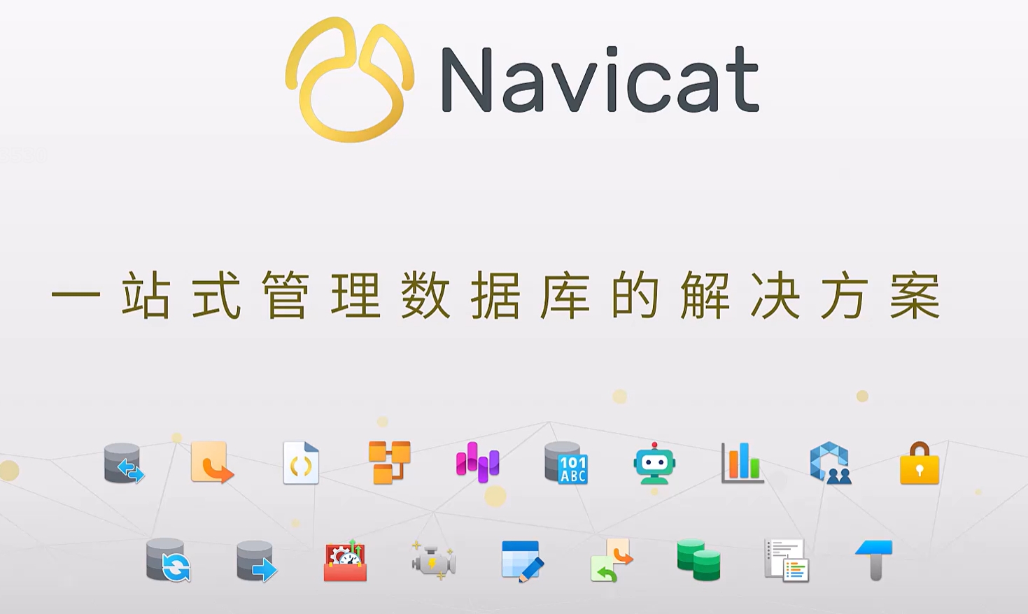 Navicat Premium 17激活破解